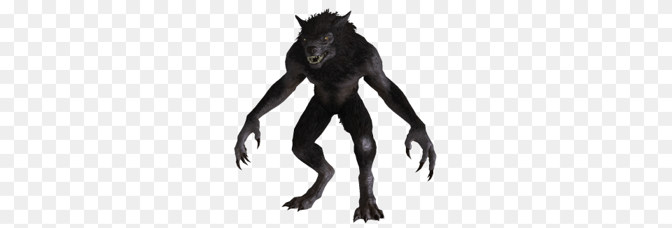 Werewolf, Electronics, Hardware, Animal, Canine Free Transparent Png