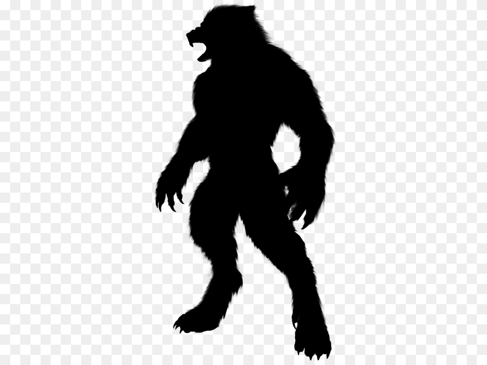 Werewolf, Gray Free Png