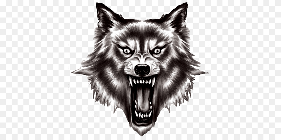 Werewolf, Animal, Mammal, Wolf, Canine Free Png Download