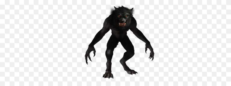 Werewolf, Adult, Animal, Male, Mammal Free Png Download