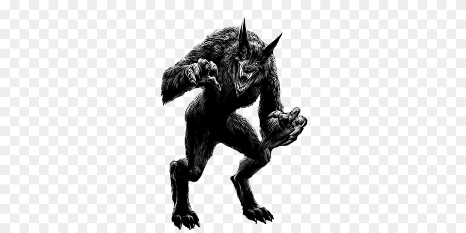 Werewolf, Animal, Mammal, Wildlife, Ape Free Transparent Png