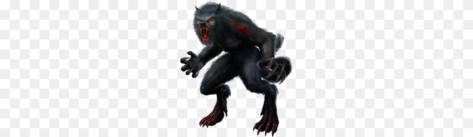 Werewolf, Animal, Mammal, Monkey, Wildlife Png Image