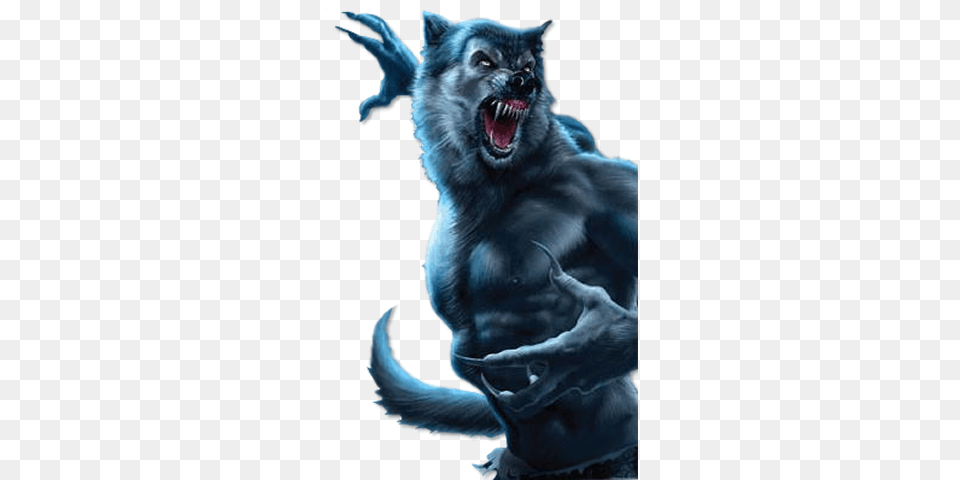 Werewolf, Animal, Mammal, Wolf, Fish Png Image