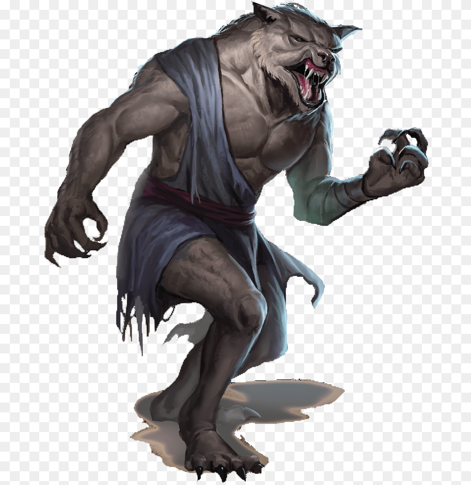 Werewolf, Person, Adult, Man, Male Png