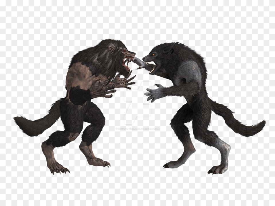 Werewolf, Animal, Mammal, Monkey, Wildlife Free Png