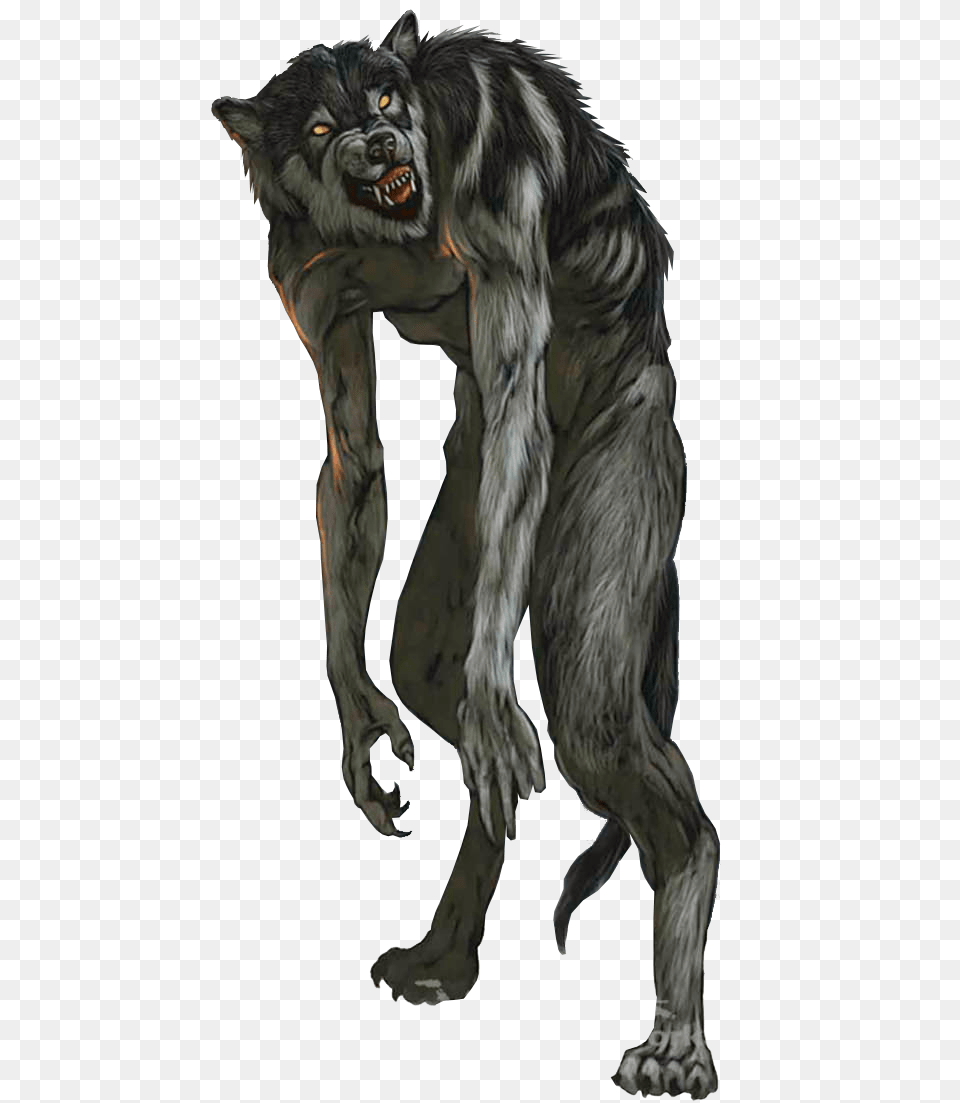 Werewolf, Animal, Mammal, Wolf, Canine Free Png Download