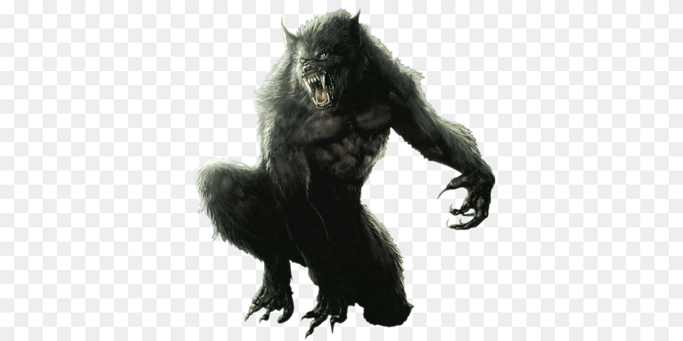 Werewolf, Animal, Ape, Mammal, Wildlife Free Png Download