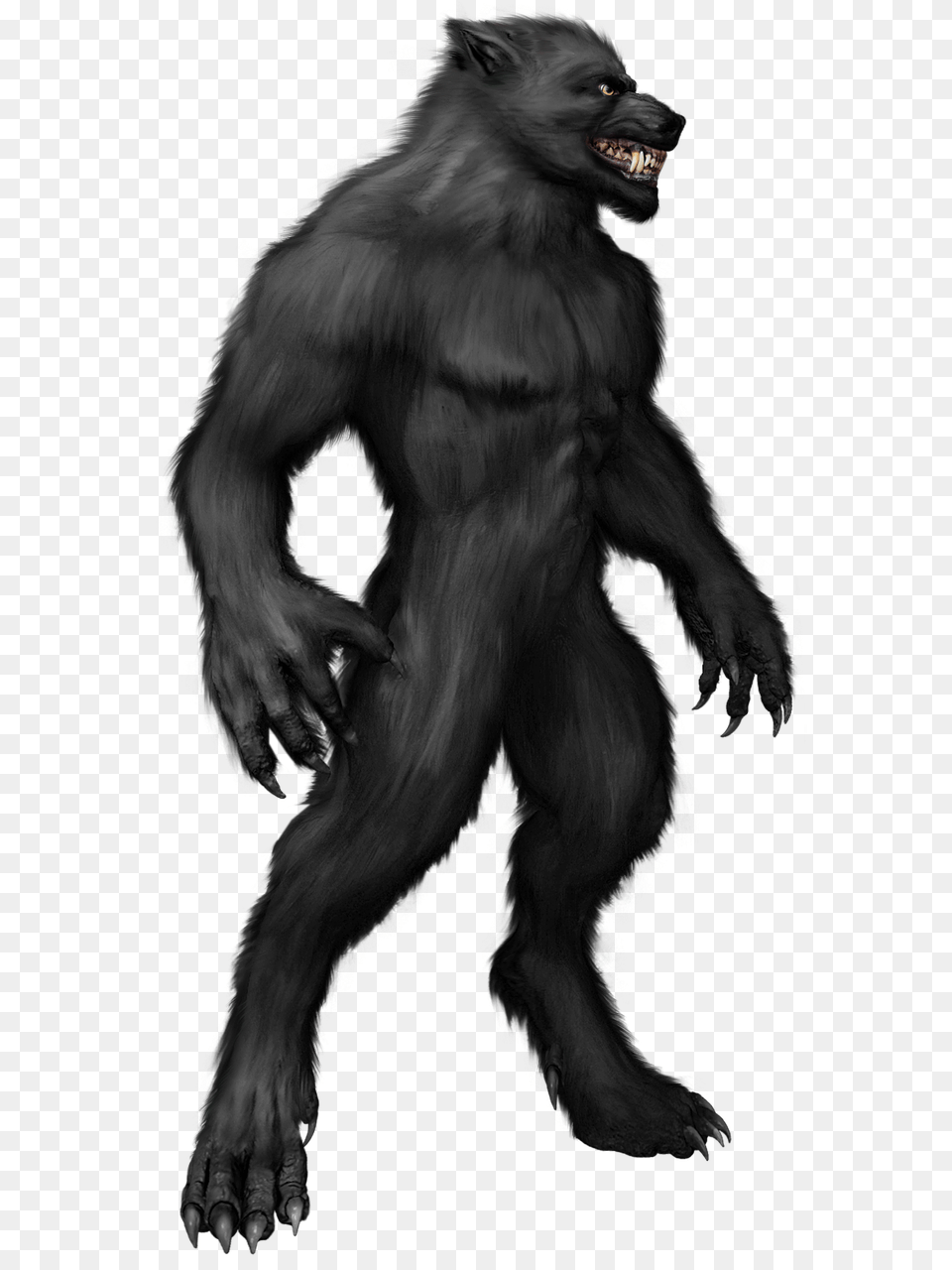 Werewolf, Animal, Ape, Mammal, Wildlife Free Png