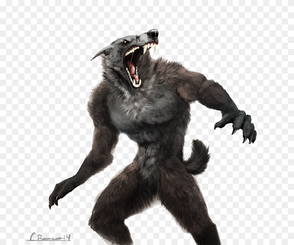 Werewolf, Animal, Bear, Mammal, Wildlife Free Transparent Png