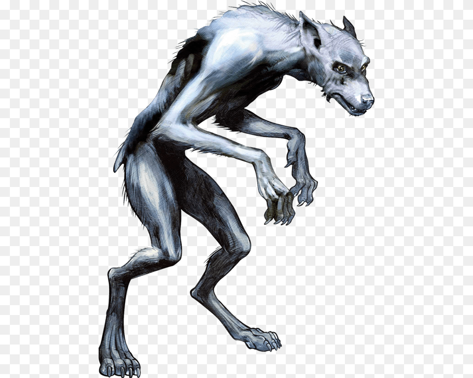 Werewolf, Art, Animal, Canine, Dog Png Image