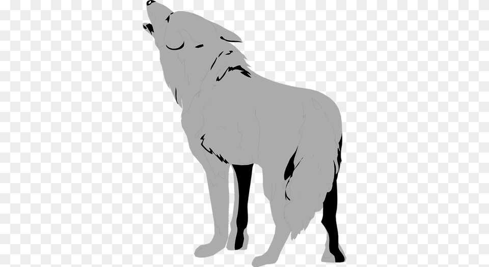 Werewolf Clipart Coyote, Animal, Mammal, Wolf, Person Free Transparent Png