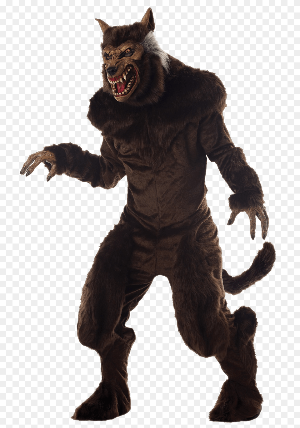 Werewolf Costume, Animal, Bear, Mammal, Wildlife Free Transparent Png