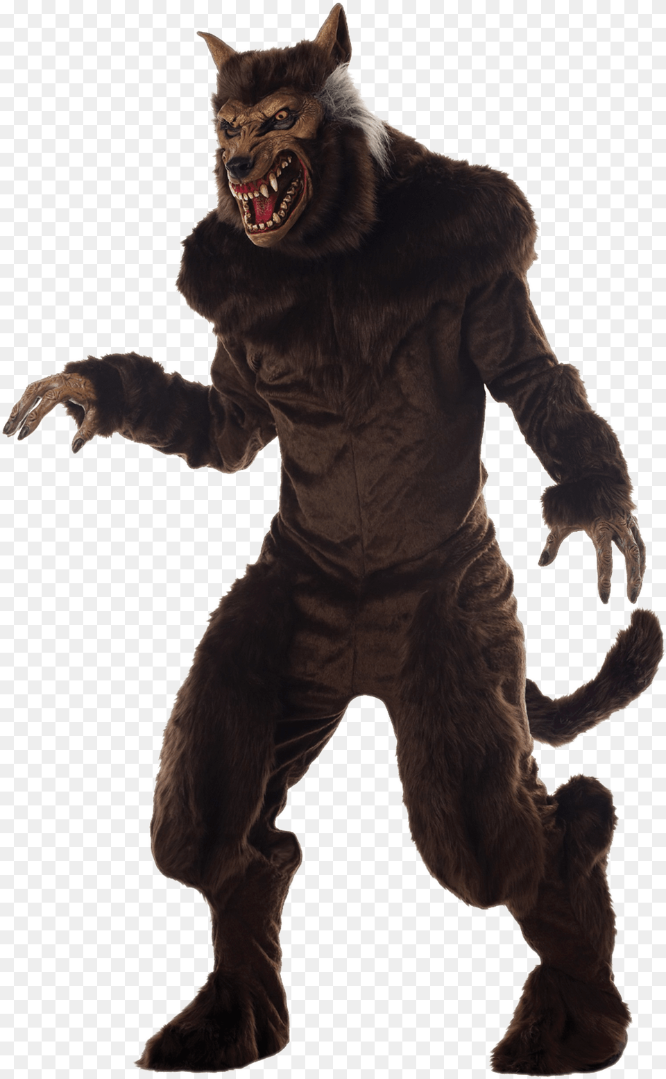 Werewolf Costume Transparent Werewolf Halloween Costume, Animal, Bear, Mammal, Wildlife Png Image