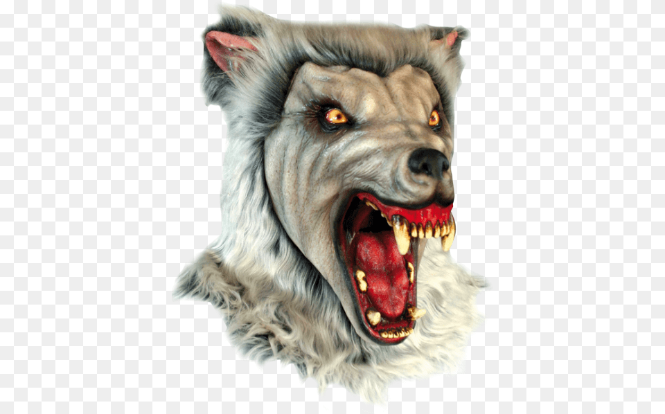 Werewolf Deluxe Horror Wolf Mask Halloween Werewolf Mask, Animal, Pet, Mammal, Dog Free Png Download