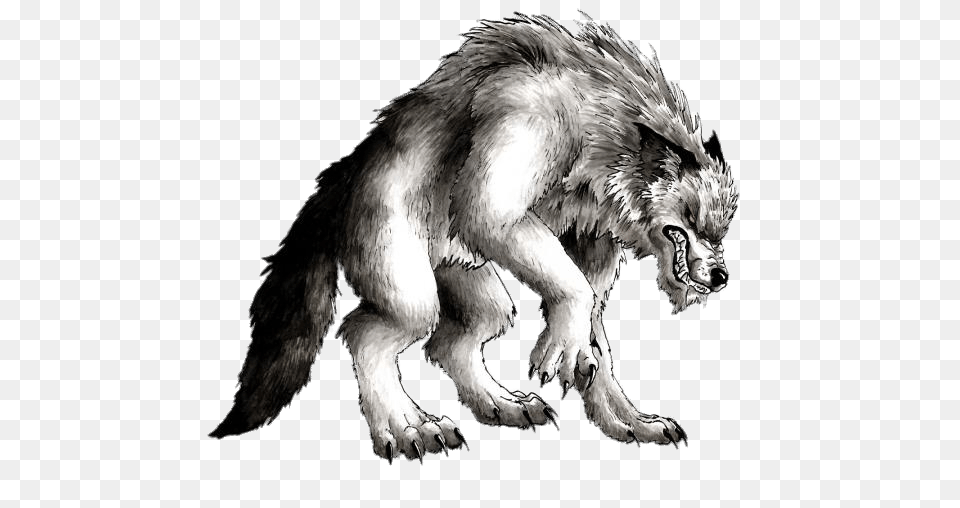 Werewolf Drawing, Animal, Bear, Mammal, Wildlife Png