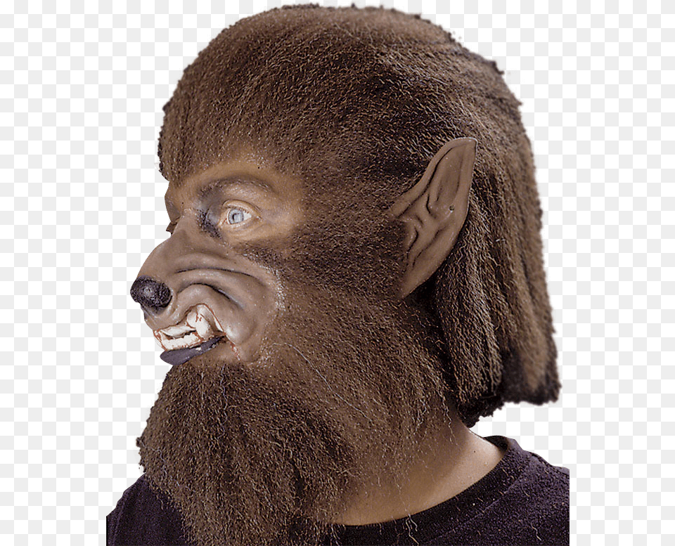 Werewolf Ears, Beard, Face, Head, Person Png