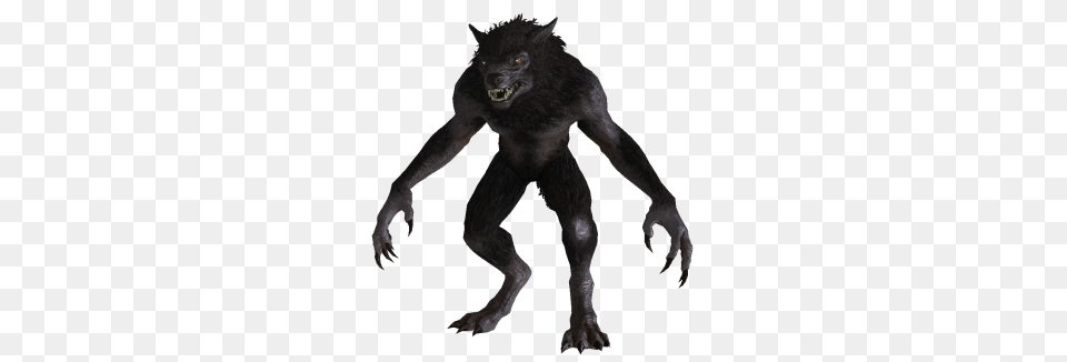 Werewolf From Skyrim, Animal, Mammal, Ape, Wildlife Free Png Download