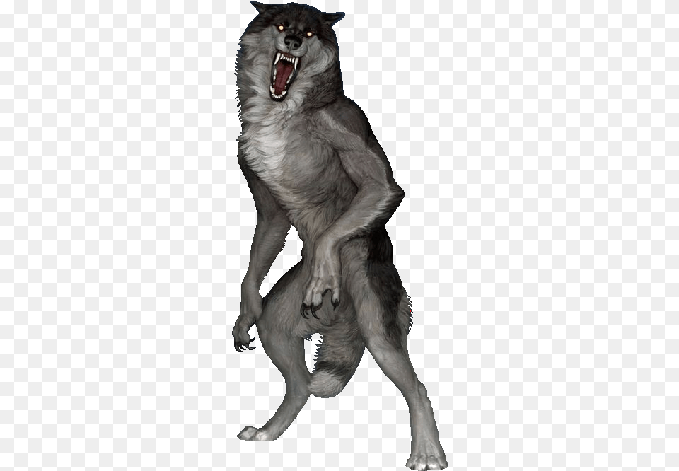 Werewolf Wolf Lycanthrope Freetoedit Sticker By Bincent Cat Yawns, Art, Animal, Canine, Dog Png Image