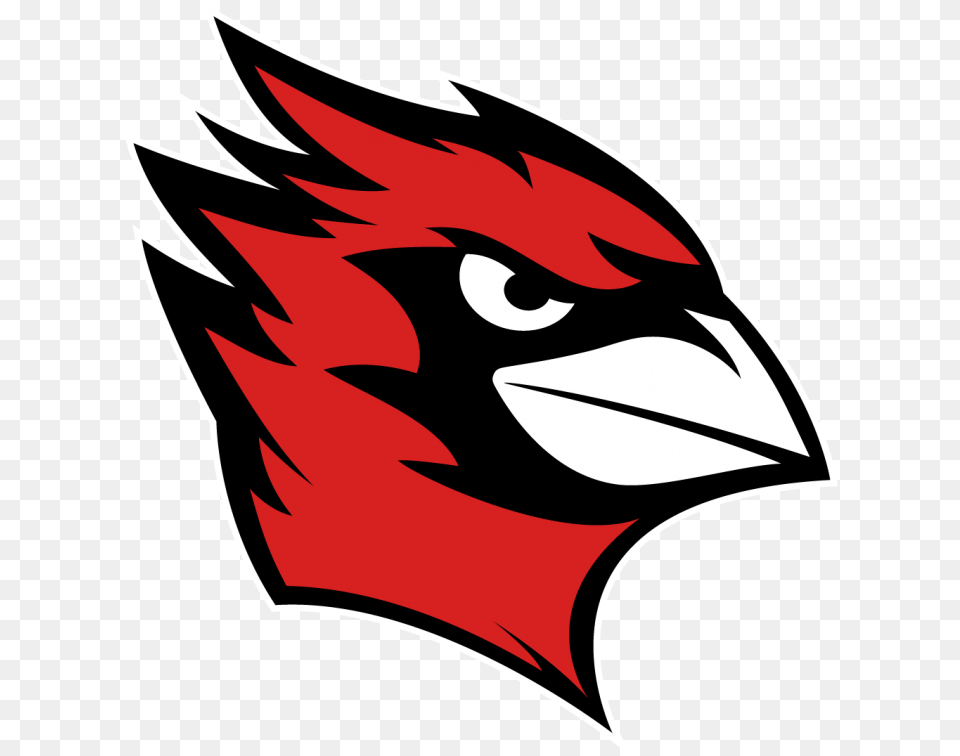 Wesleyan Introduces New Cardinal News Wesleyan University Athletics, Animal, Beak, Bird, Fish Png