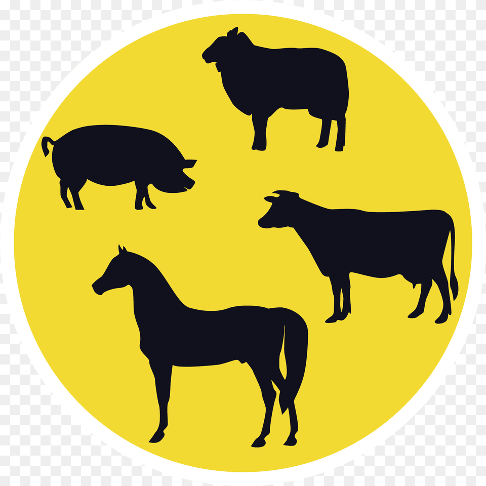 West Nile Virus Romania, Animal, Pig, Mammal, Silhouette Free Png Download