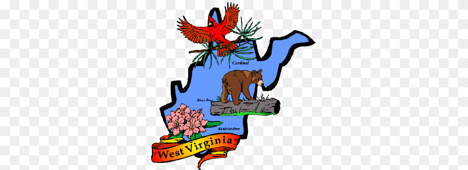 West Virginia State Flower Bird And Tree, Animal, Bear, Mammal, Wildlife Free Png Download