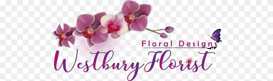 Westbury Florist In Westbury Ny Westbury, Flower, Orchid, Plant Png