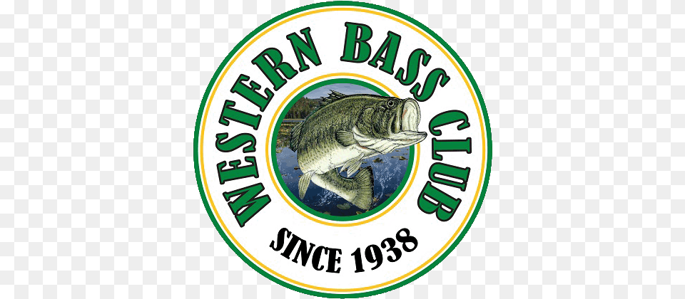 Western Bass Club Largemouth Bass, Animal, Fish, Sea Life, Logo Free Png