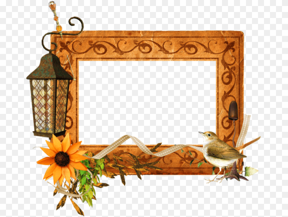 Western Frame Clipart Picture Frame, Animal, Bird, Flower, Plant Free Transparent Png