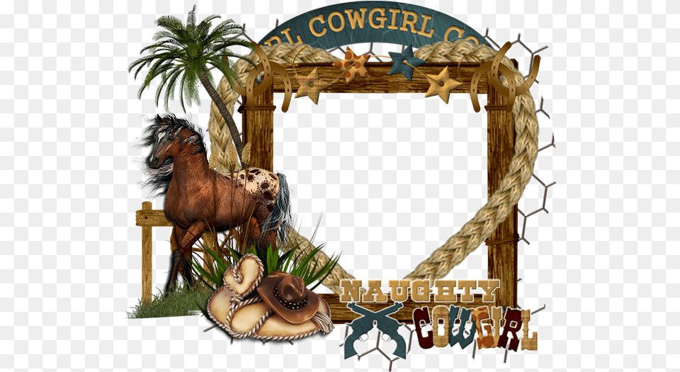 Western Frame Elias Chatzoudis, Animal, Zoo, Baseball, Baseball Glove Png