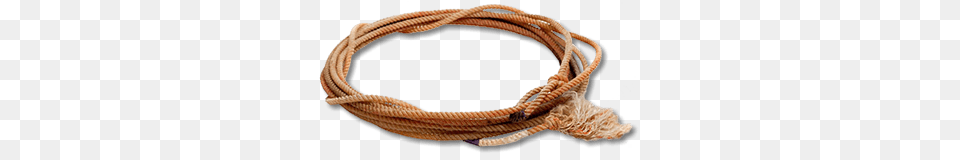 Western Lasso, Rope, Animal, Reptile, Snake Png