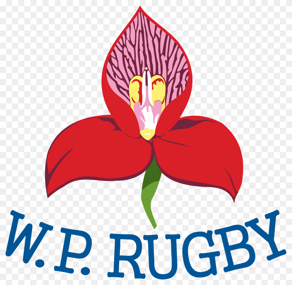 Western Province Rugby Logo, Flower, Petal, Plant, Orchid Png Image