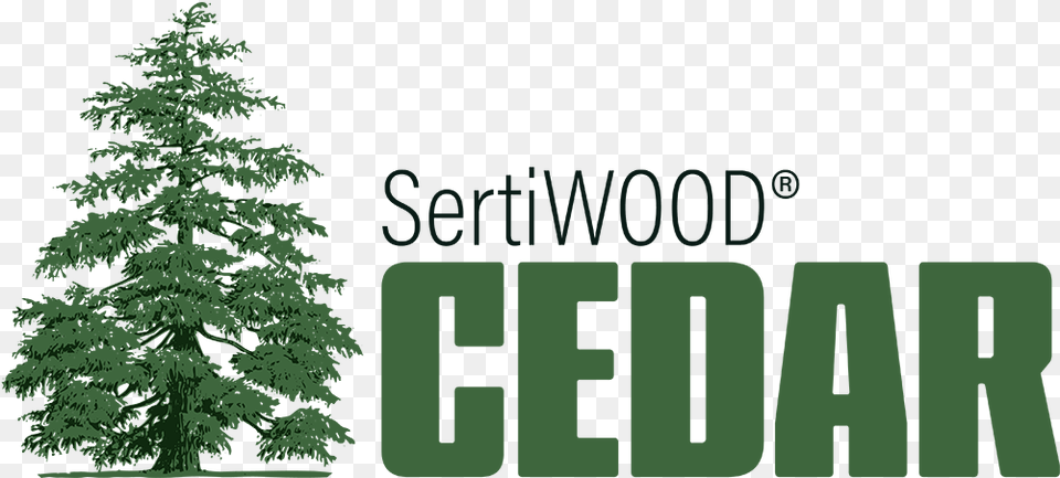Western Red Cedar Alternative Deodar Or Himalayan Cedar, Conifer, Fir, Green, Vegetation Png