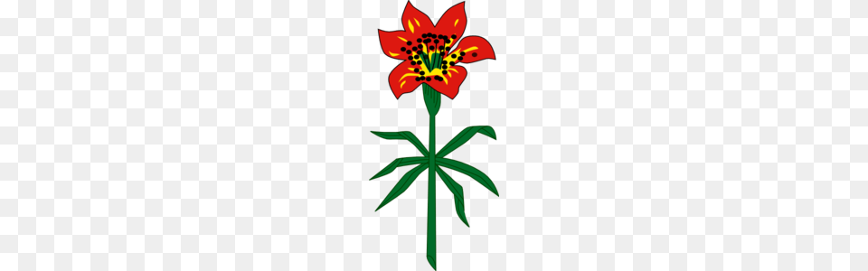 Western Red Lily Saskatchewan Clip Art, Flower, Plant, Anther, Cross Png Image