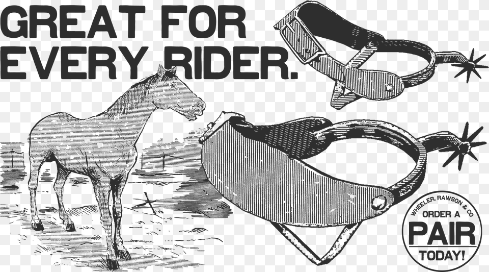 Western Rider Spurs Food Posters, Adult, Bride, Female, Person Free Png