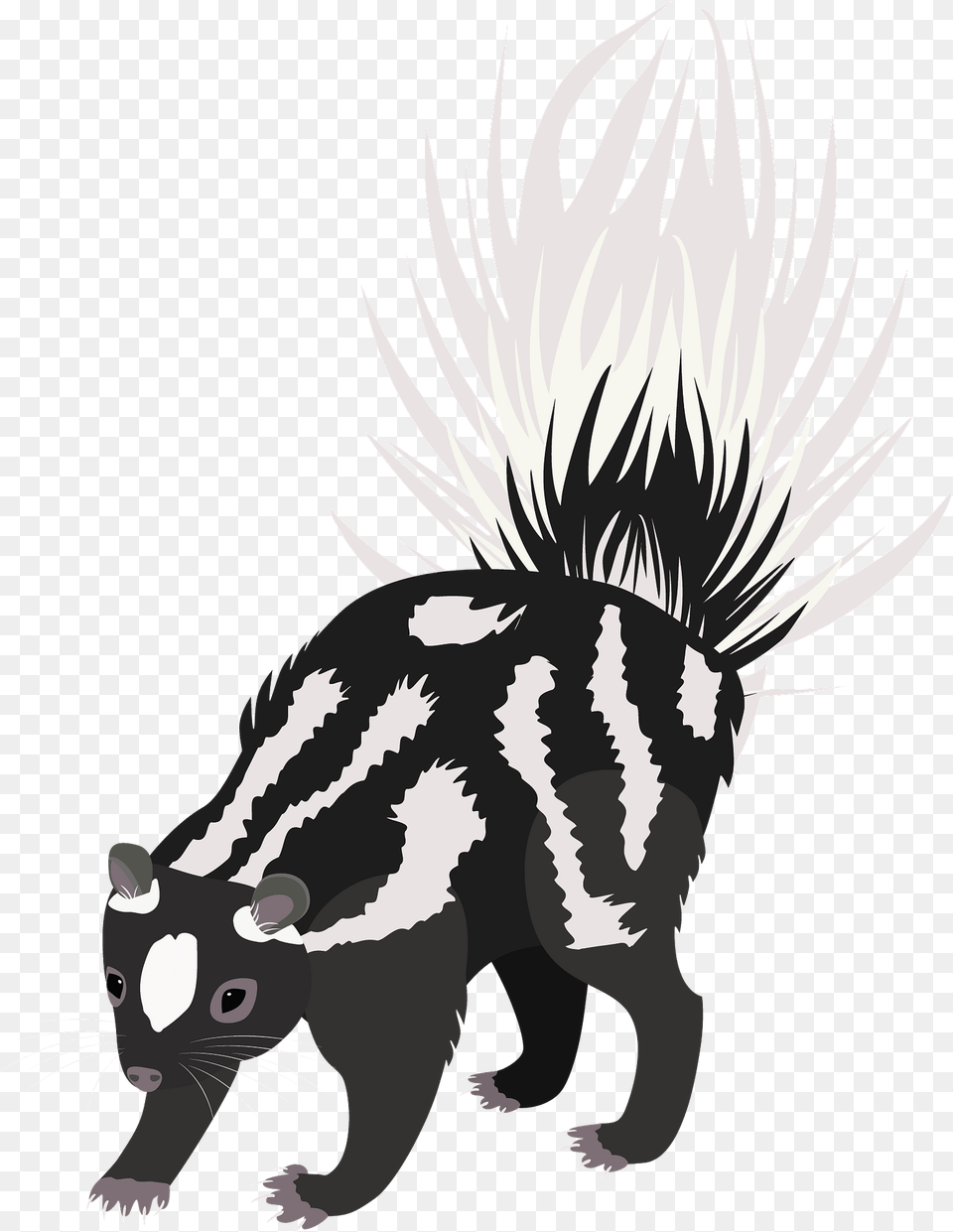 Western Spotted Skunk Clipart, Animal, Mammal, Wildlife, Baby Png Image