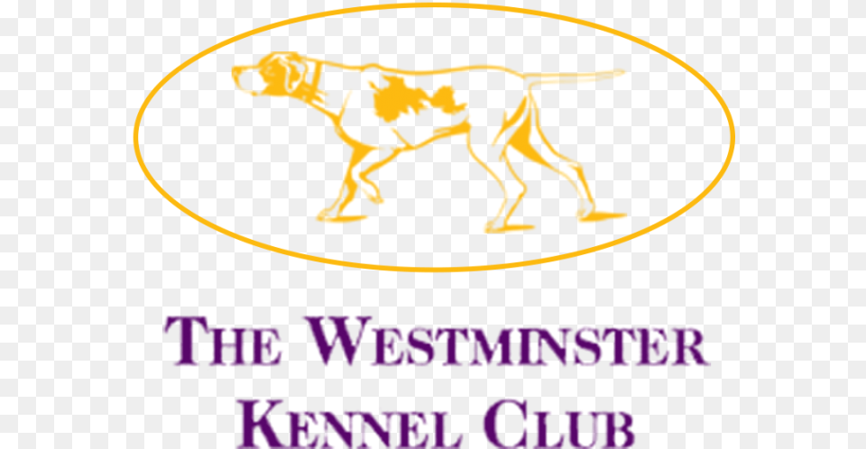 Westminster Kennel Club Dog Show, Animal, Dinosaur, Reptile, Canine Png Image