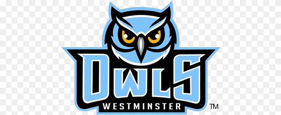 Westminster Owls Clip Art, Logo, Scoreboard Png