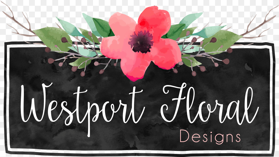 Westport Floral Designs Carolina Rose, Flower, Plant, Petal, Blackboard Free Png Download