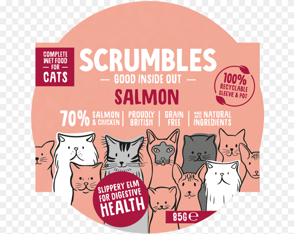 Wet Salmon Cat Scrumbles The Green Woof Cartoon, Advertisement, Poster, Animal, Canine Png Image
