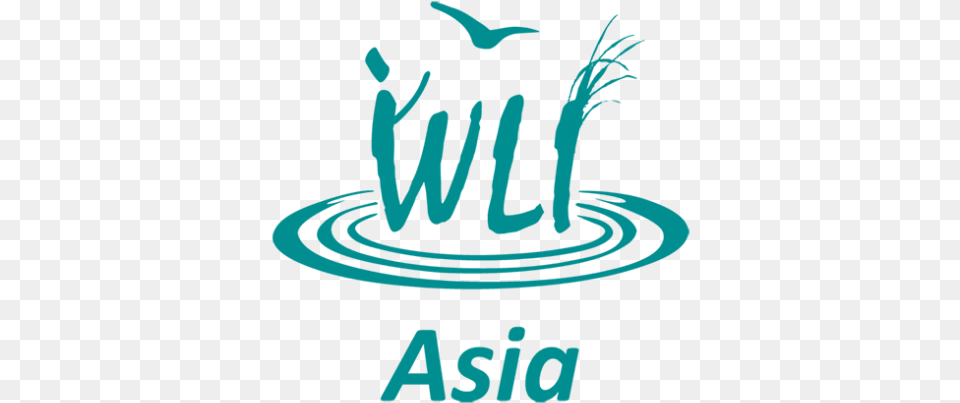 Wetland Link International, Clothing, Hat, Logo Png