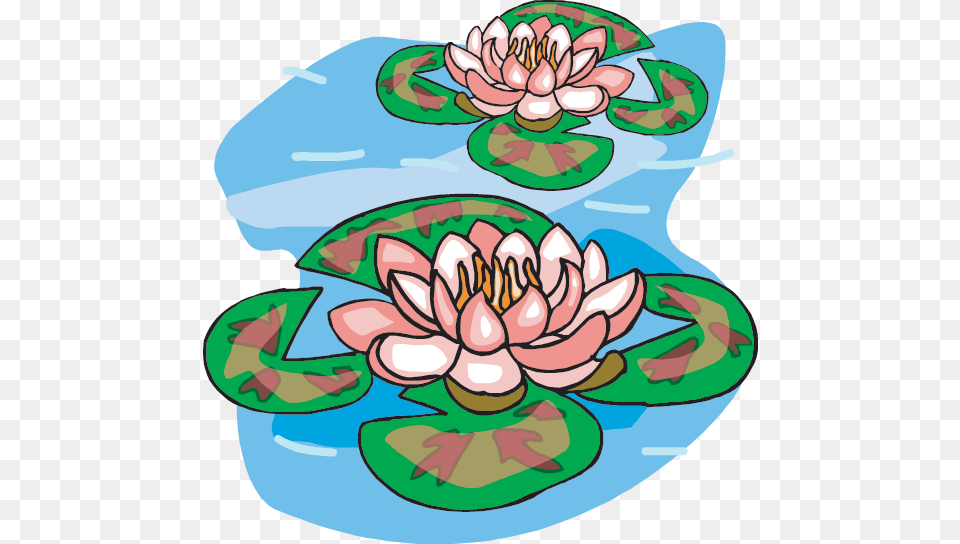 Wetlands Games, Flower, Plant, Lily, Pond Lily Free Transparent Png