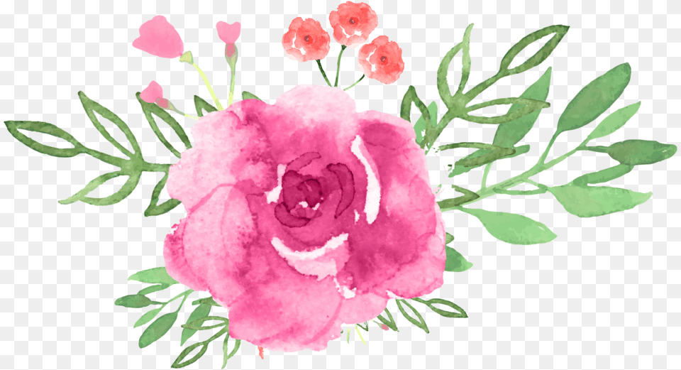 Wf Flower Sets V1 Wf Pink Flowerv Flower, Pattern, Plant, Rose, Petal Free Png Download