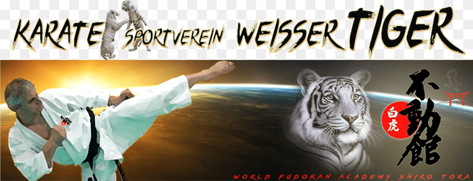 Wfast Kopie White Tiger Face Pillow Case, Sport, Person, Martial Arts, Adult Free Transparent Png