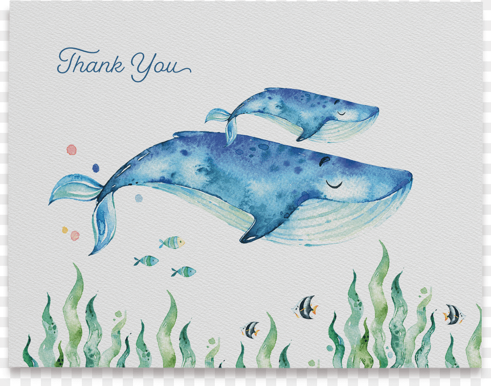 Whale 1 Thank You Cards Ocean Free Png Download