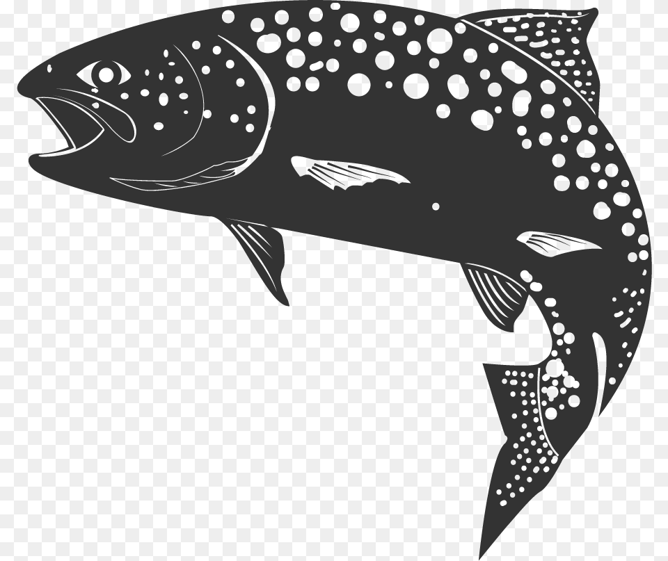 Whale, Animal, Fish, Mammal, Sea Life Png Image