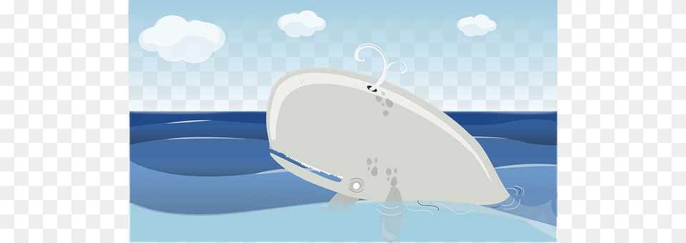 Whale Yacht, Water, Vehicle, Transportation Free Png