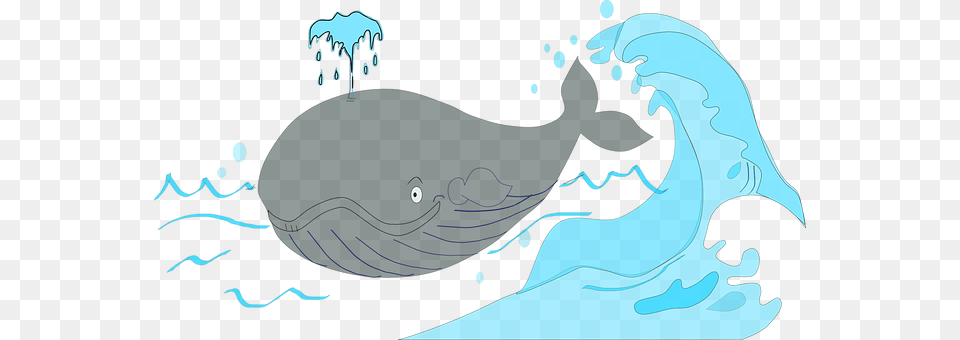 Whale Animal, Mammal, Sea Life, Canine Png Image
