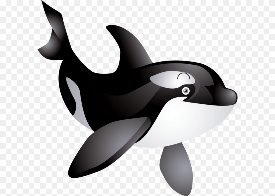 Whale, Animal, Sea Life, Mammal, Orca Png Image