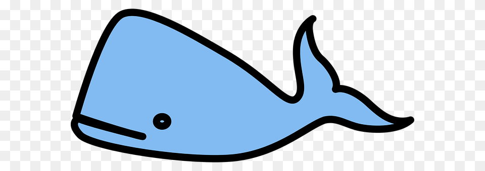 Whale Animal, Sea Life, Mammal, Fish Png Image