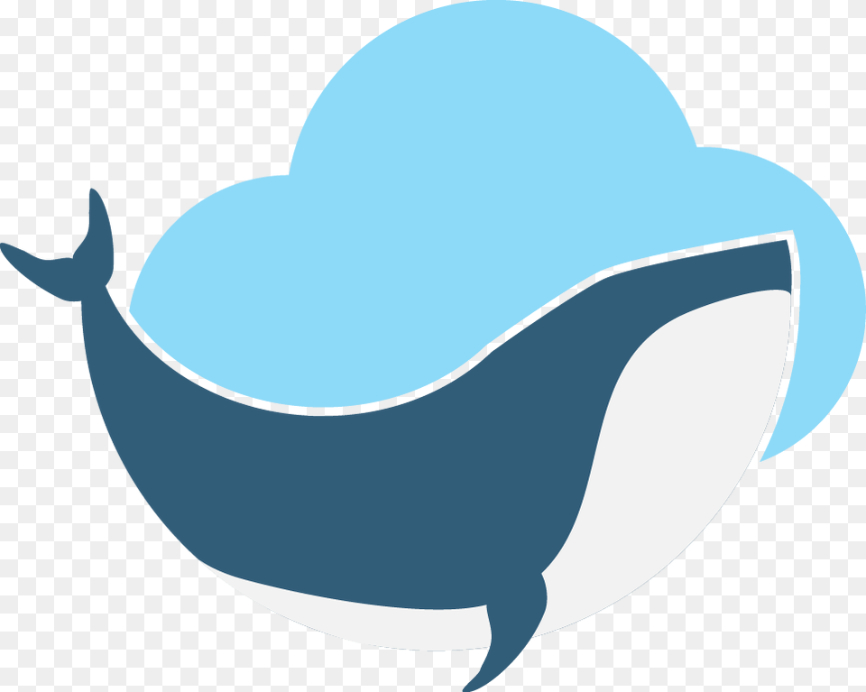 Whale, Clothing, Hat, Animal, Fish Free Png Download